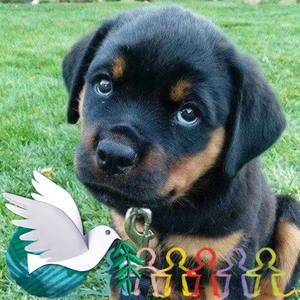 Meet your Posher, Andre